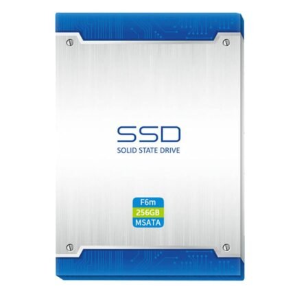 KINGFAST F6 SERIES MSATA3 256GB SSD